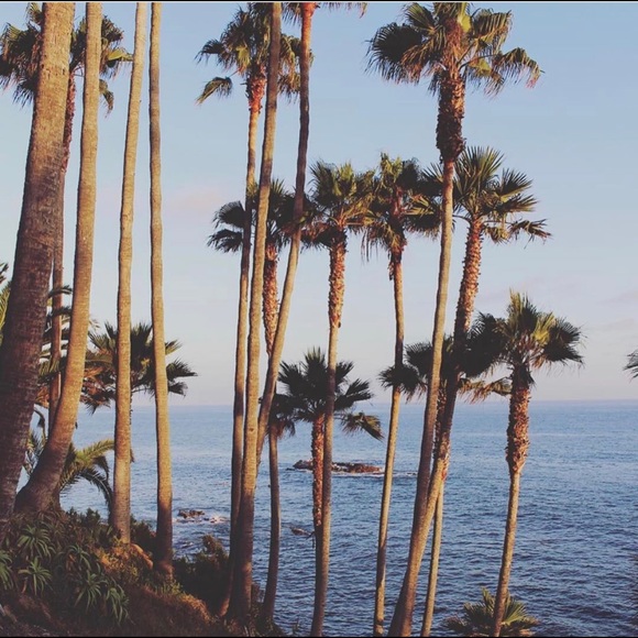 Meet your Posher, Karla - Picture 1 of 1